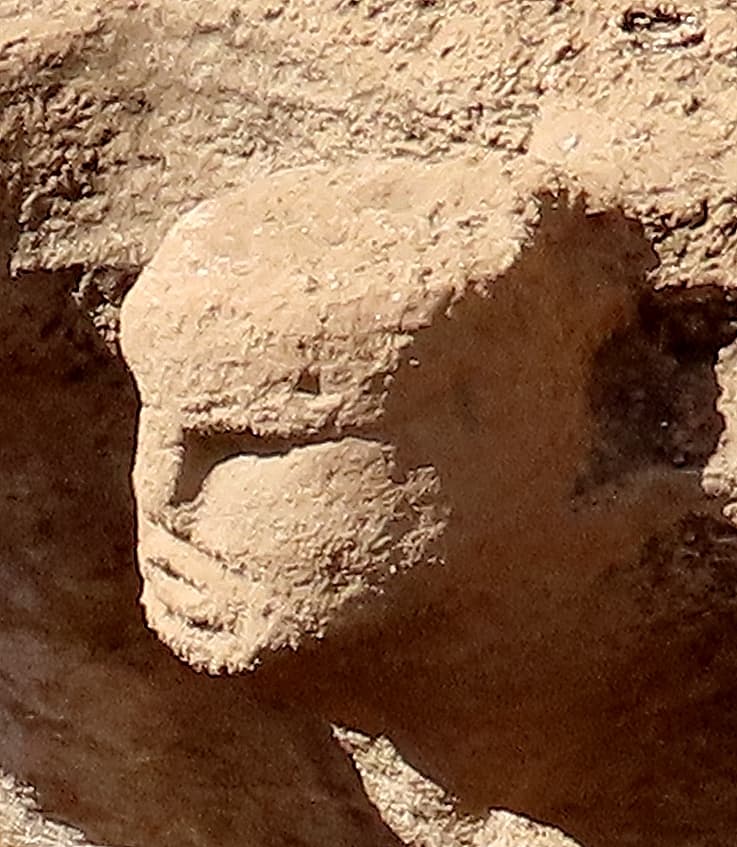 A carved stone human head with detailed facial features — eyes, nose, and mouth — emerging from the wall of a ritual structure at Karahantepe, photographed in 2025
