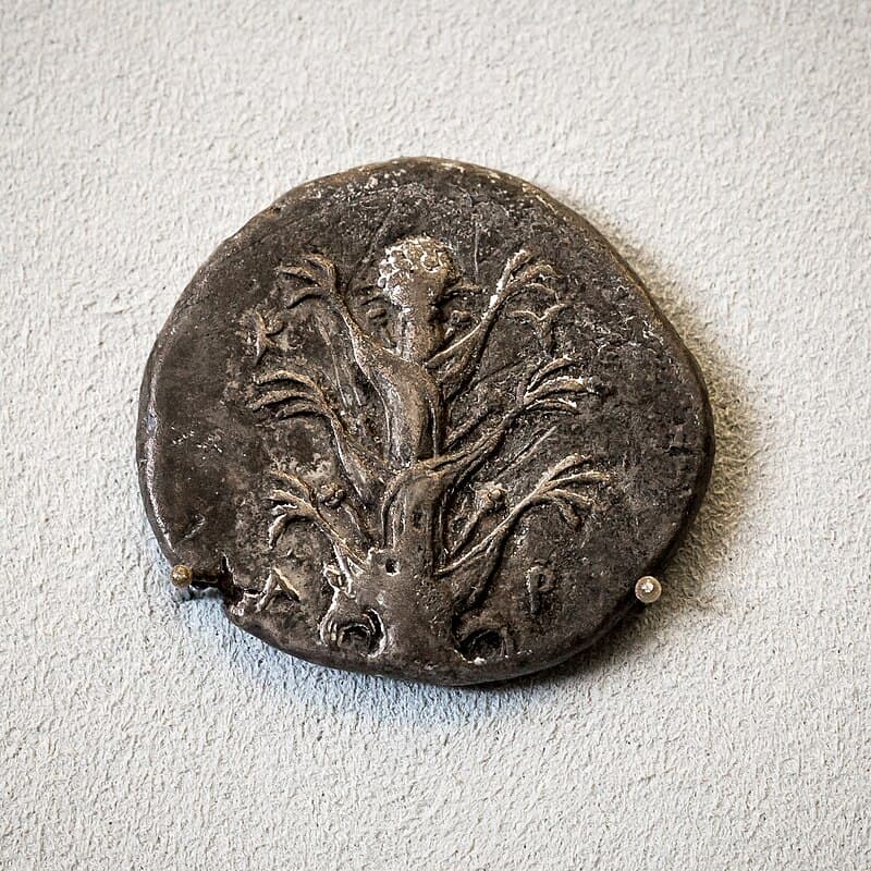 Silver tetradrachm from Kyrene (Cyrene) circa 435β330 BCE. The obverse shows a silphium plant with its characteristic umbels and heart-shaped seed pods; the reverse shows the ram-horned head of Zeus Ammon.